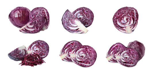 Set of fresh red cabbages on white background. Banner design