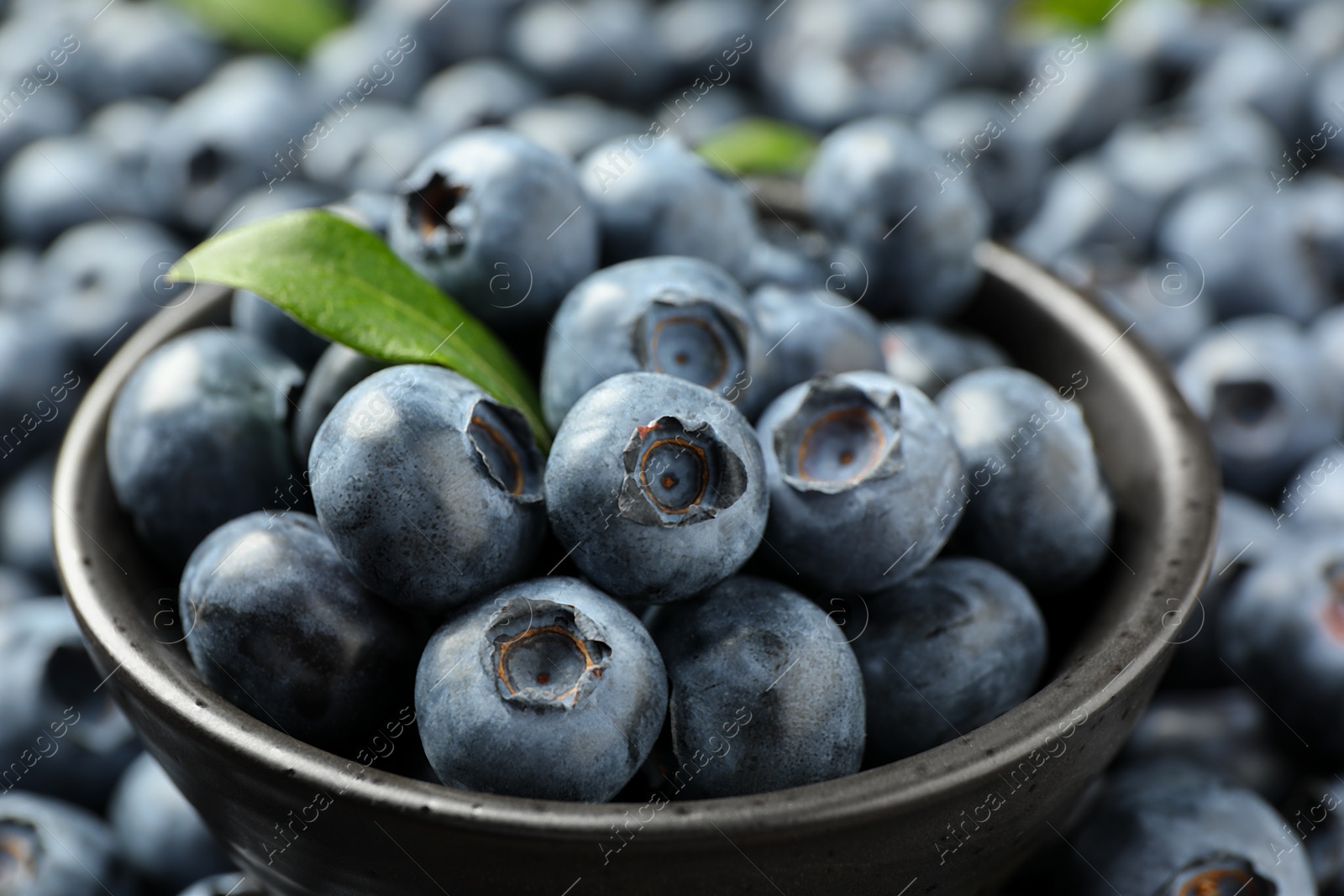 Photo of Tasty fresh blueberries and bowl, closeup view