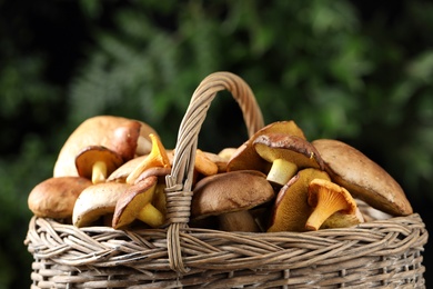Photo of Basket of wild mushrooms on blurred background, closeup