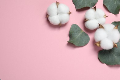 Photo of Cotton flowers and eucalyptus leaves on pink background, flat lay. Space for text