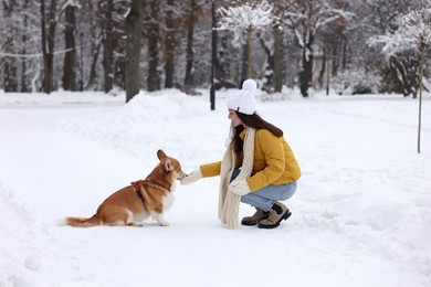 Woman with adorable Pembroke Welsh Corgi dog in snowy park