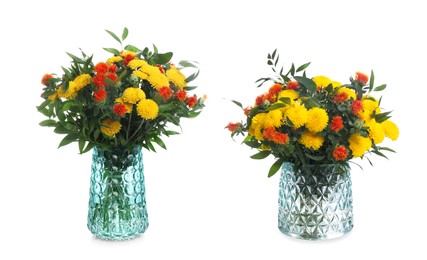 Bouquets with beautiful bright aster flowers in glass vases on white background