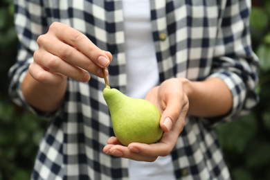 Photo of Woman holding fresh ripe pear outdoors, closeup