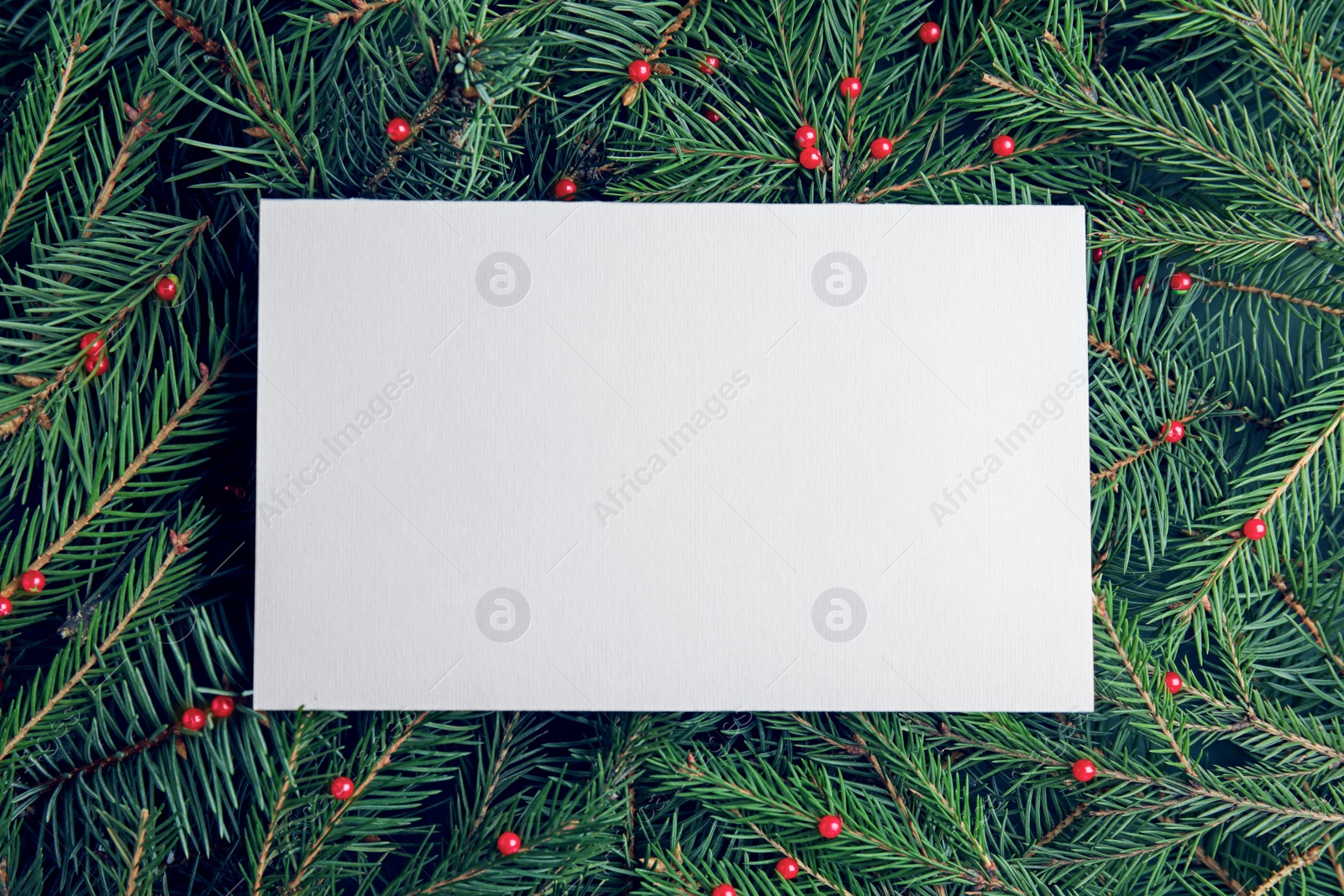 Photo of Blank card on Christmas tree branches as background, top view. Space for text