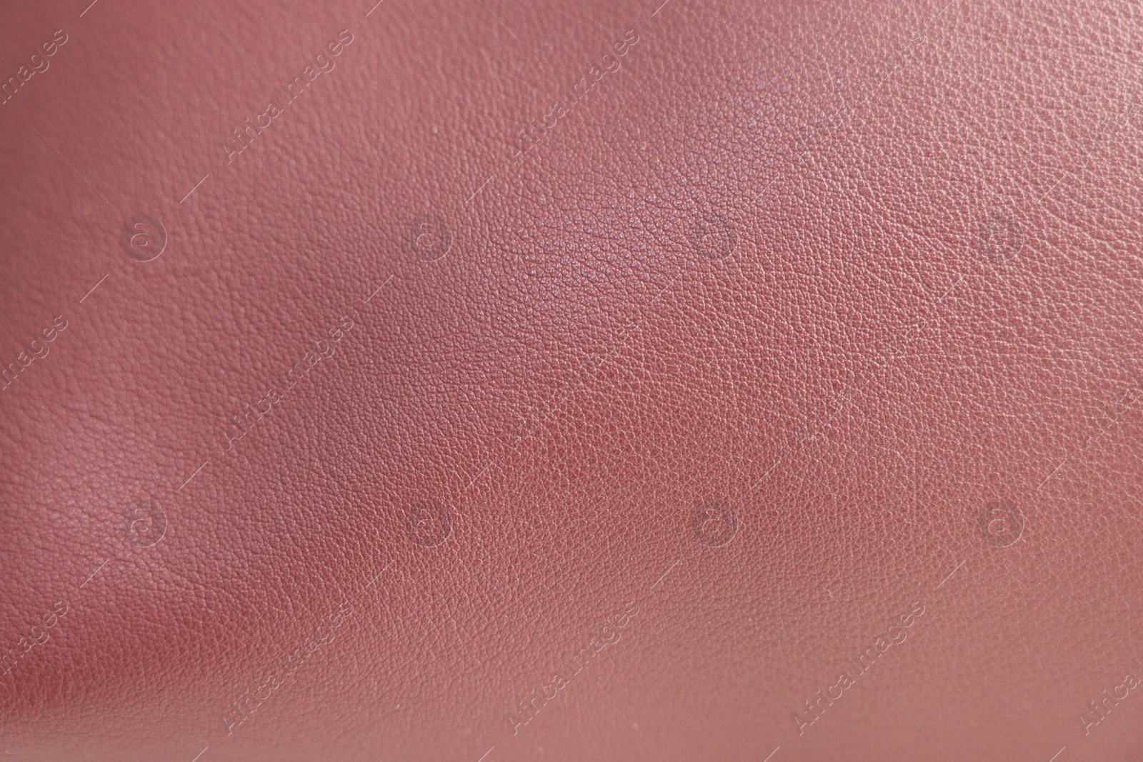 Photo of Texture of leather as background, closeup view