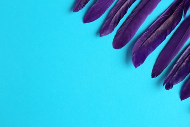 Purple feathers on light blue background, flat lay. Space for text