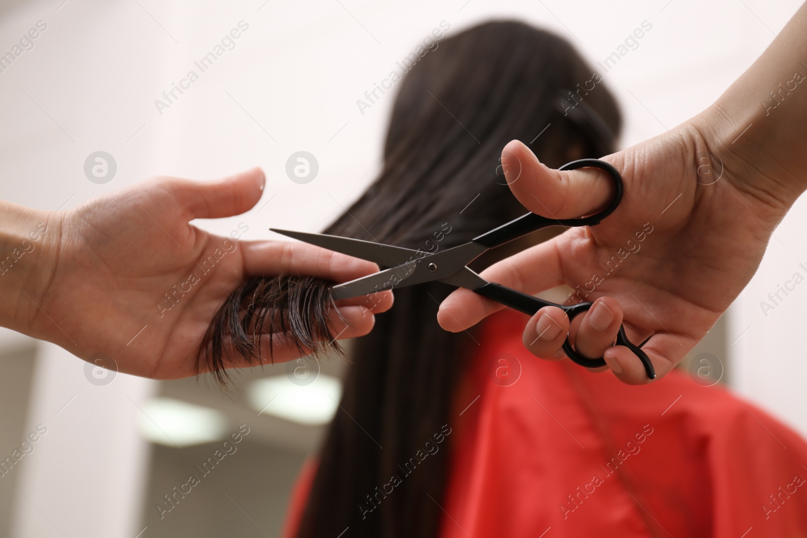 Photo of Stylist cutting hair of client in professional salon, closeup