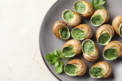 Photo of Delicious cooked snails with parsley on light table, top view. Space for text