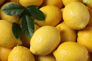 Fresh lemons and green leaves with water drops as background, top view