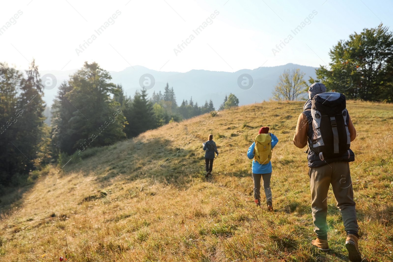 Photo of Tourists with backpacks hiking in mountains on sunny day, back view