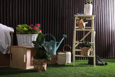 Beautiful plants, gardening tools and accessories on green grass near wood slat wall