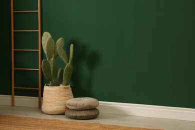 Potted cactus near green wall indoors. Space for text