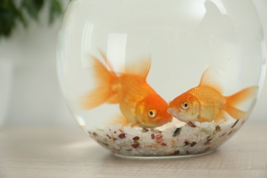 Beautiful bright small goldfishes in round glass aquarium on wooden table, closeup