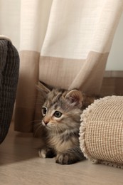 Photo of Cute fluffy kitten hiding between curtain and rolled rug at home