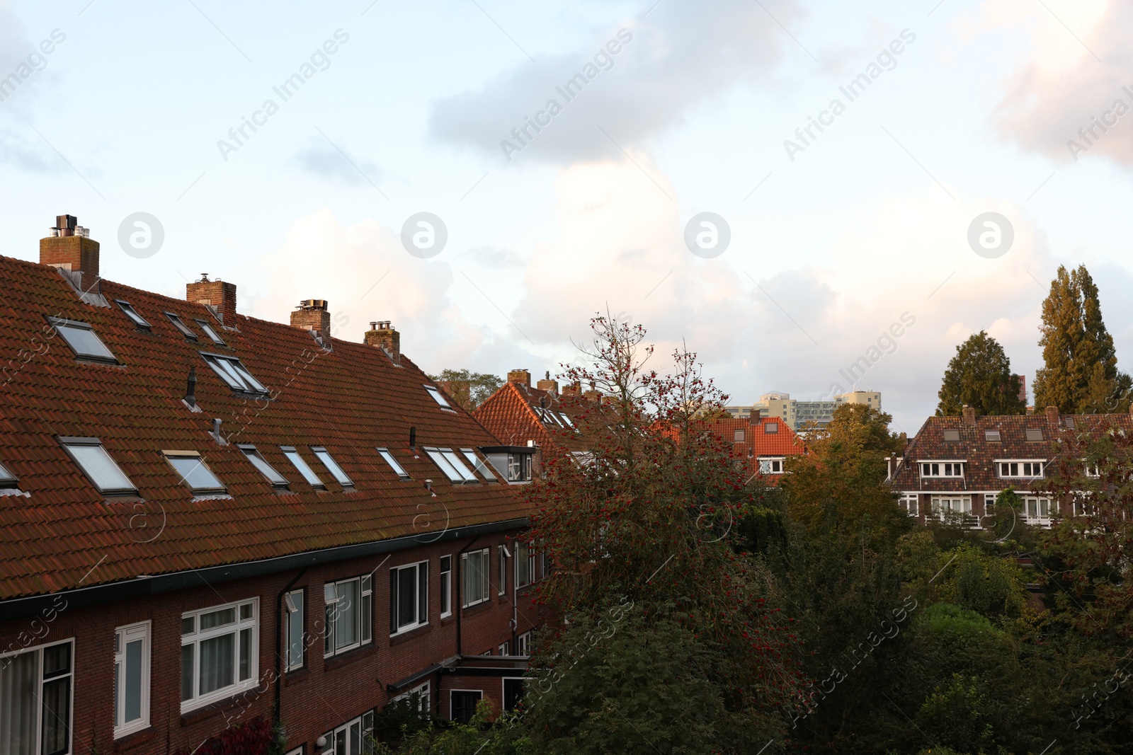 Photo of Beautiful buildings and trees in city under sky with clouds