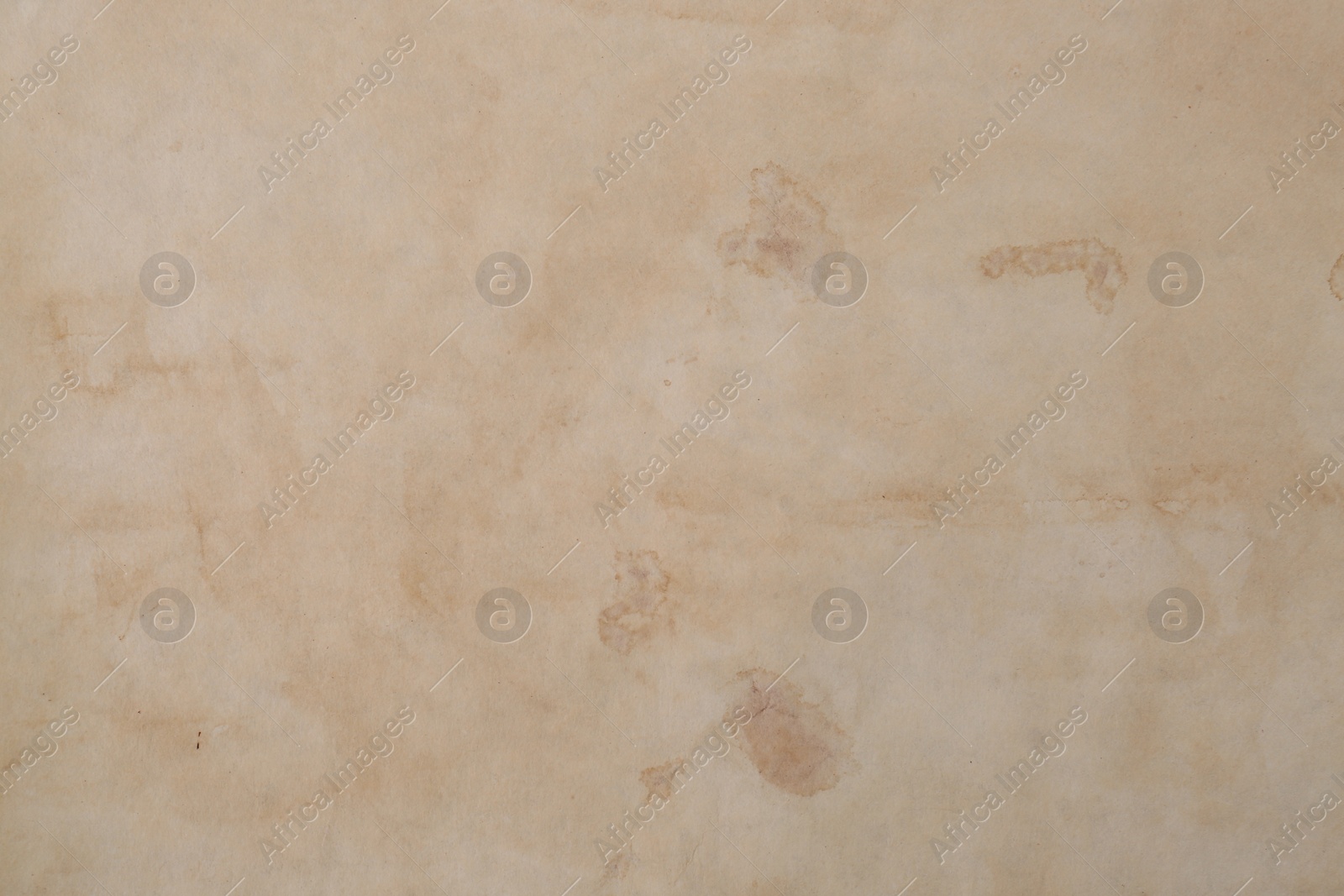 Photo of Sheet of parchment paper as background, top view