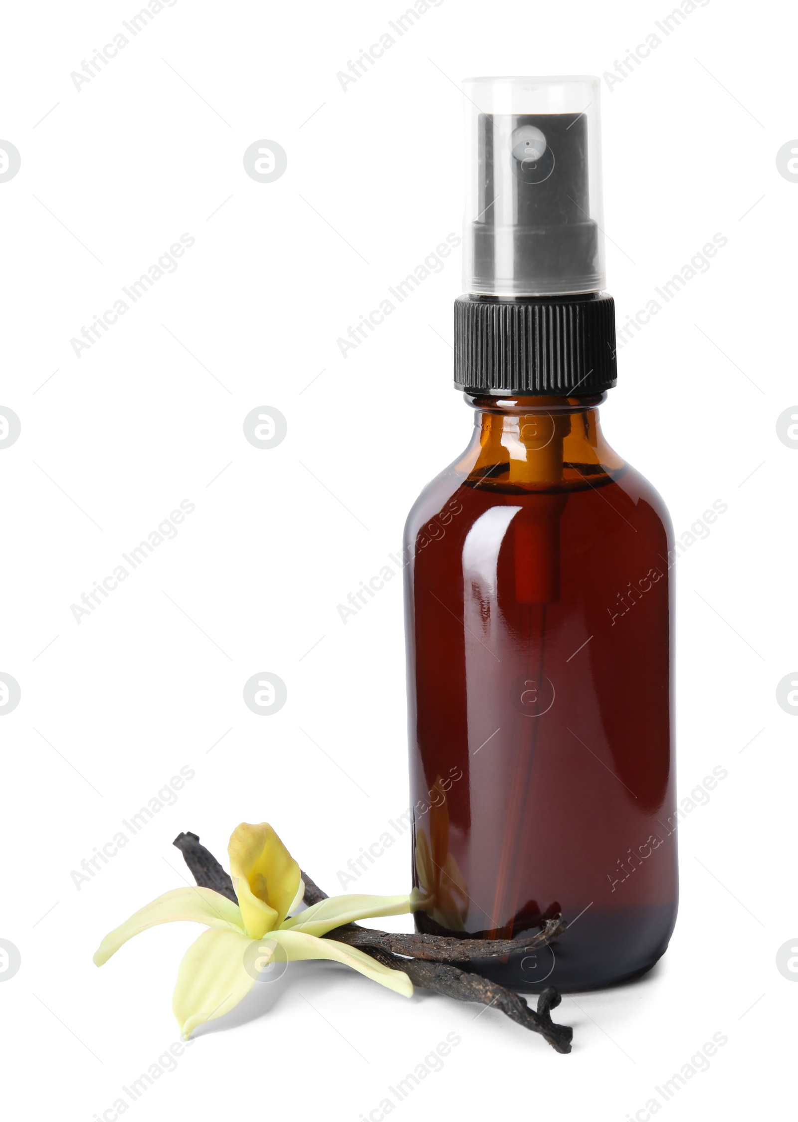 Photo of Vanilla extract, flower and dry pods isolated on white