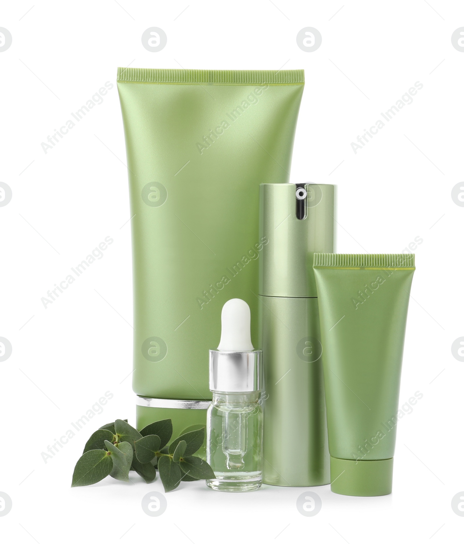 Photo of Set of cosmetic products and green plant isolated on white