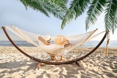 Couple relaxing in hammock under green palm leaves on beach