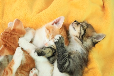 Photo of Cute little kittens on yellow blanket, above view