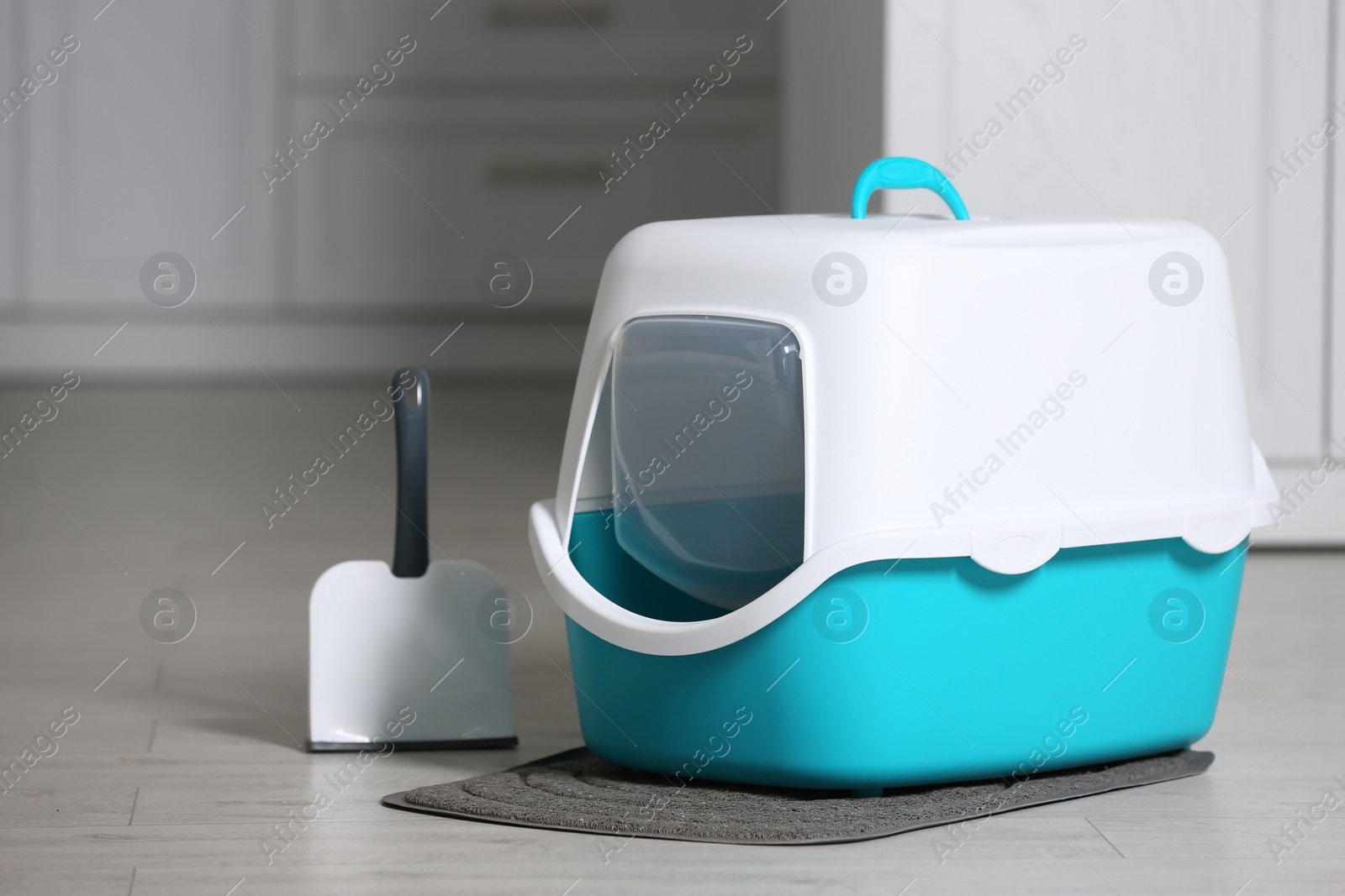 Photo of Cat litter box and scoop on floor in room