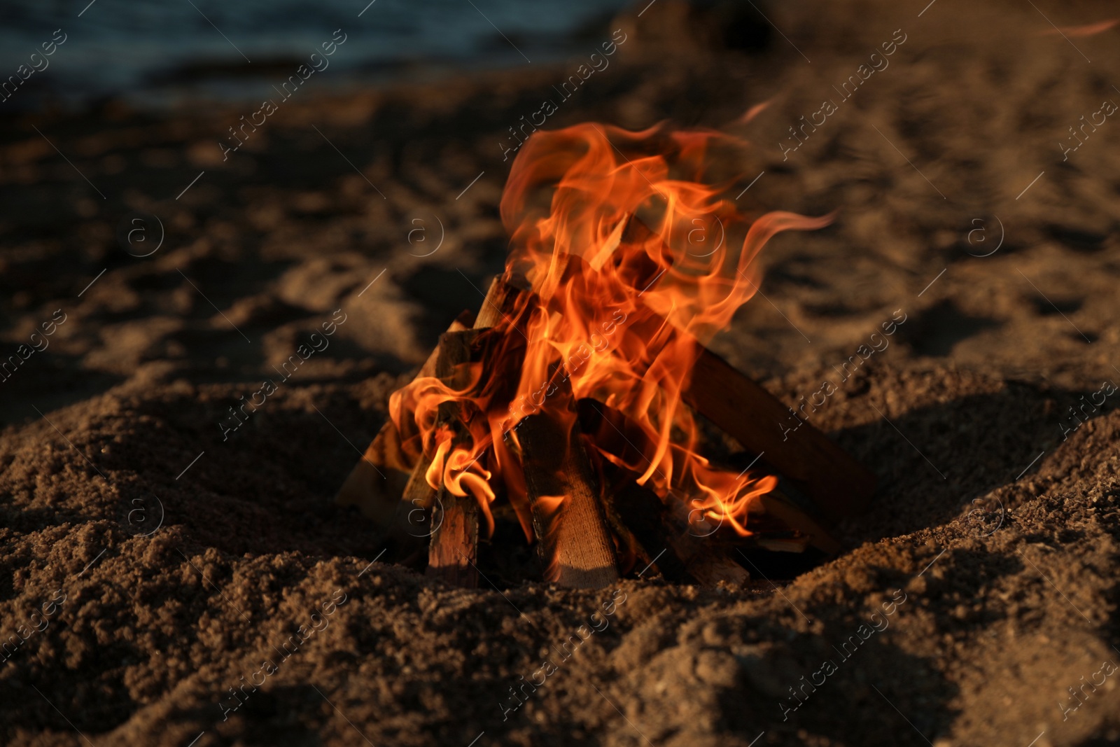 Photo of Beautiful bonfire with burning firewood on sandy beach in evening