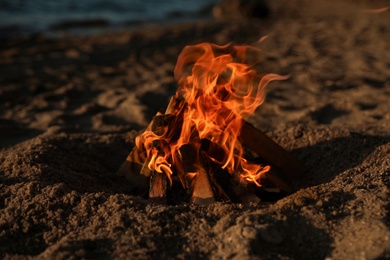 Beautiful bonfire with burning firewood on sandy beach in evening
