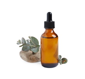 Photo of Bottle of eucalyptus essential oil, stone and plant branch on white background