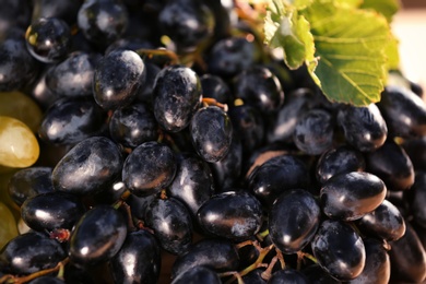 Photo of Fresh ripe juicy grapes as background, closeup