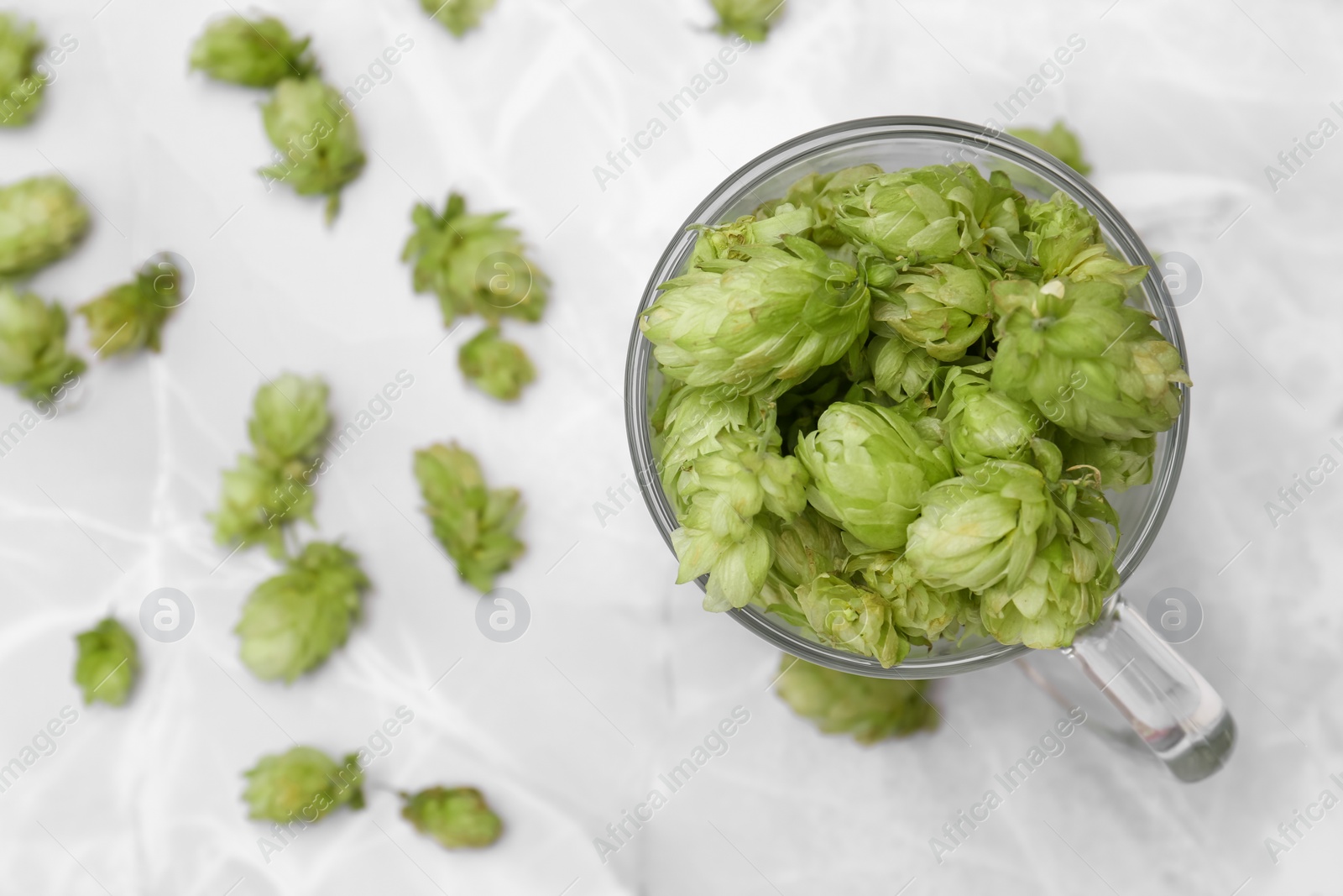 Photo of Glass mug with fresh green hops on light grey marble table, flat lay. Space for text