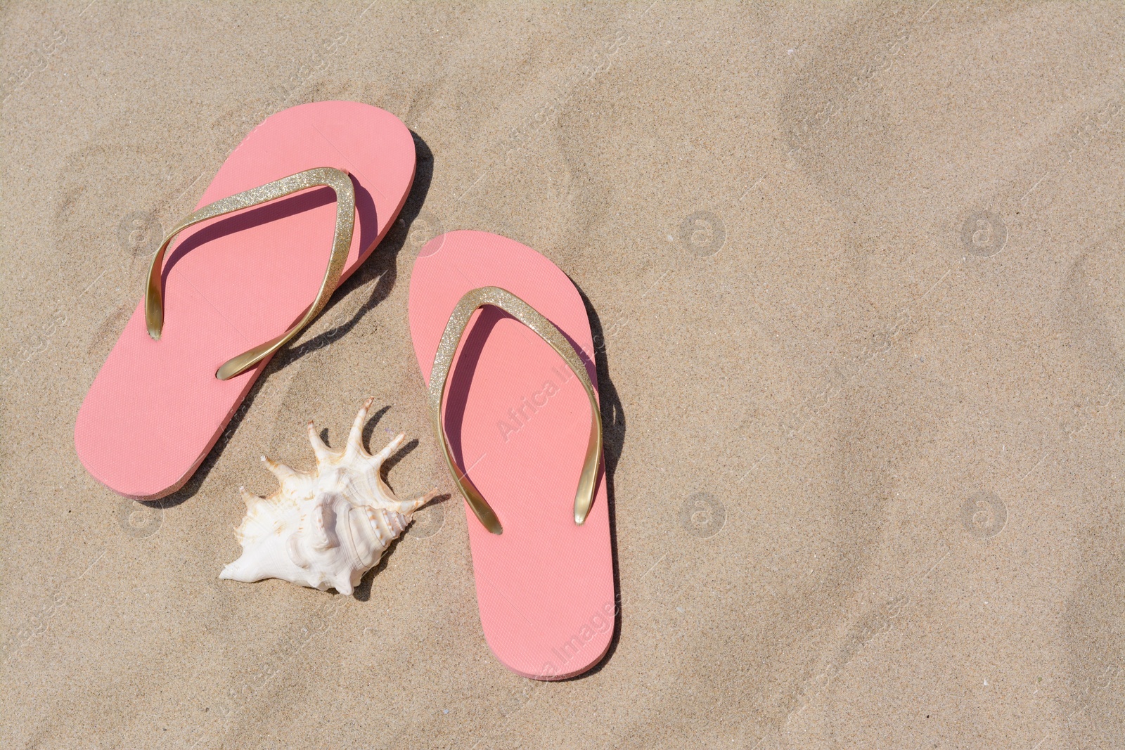 Photo of Stylish pink flip flops and seashell on sandy beach, flat lay. Space for text