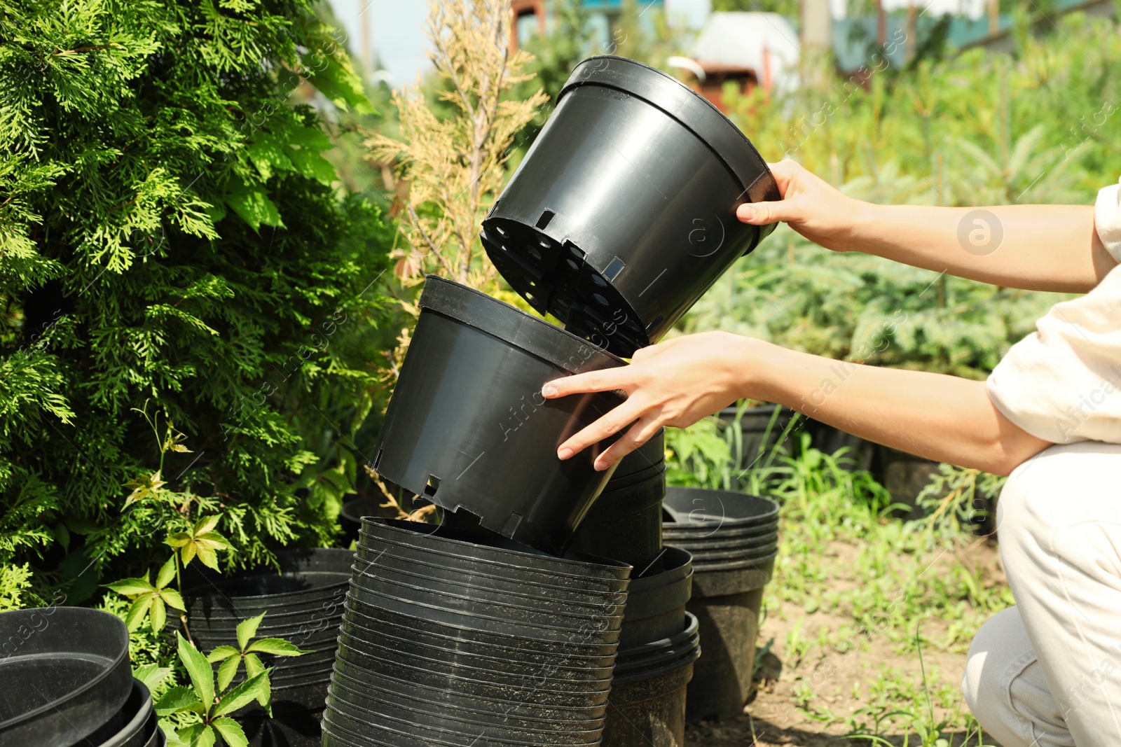 Photo of Woman with black pots for tree planting outdoors, closeup