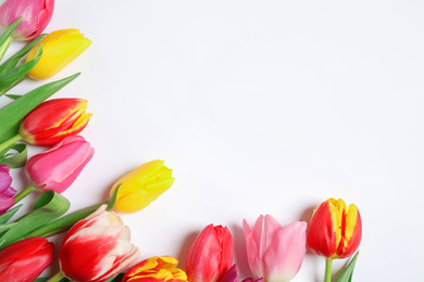 Photo of Beautiful spring tulips on white background, top view