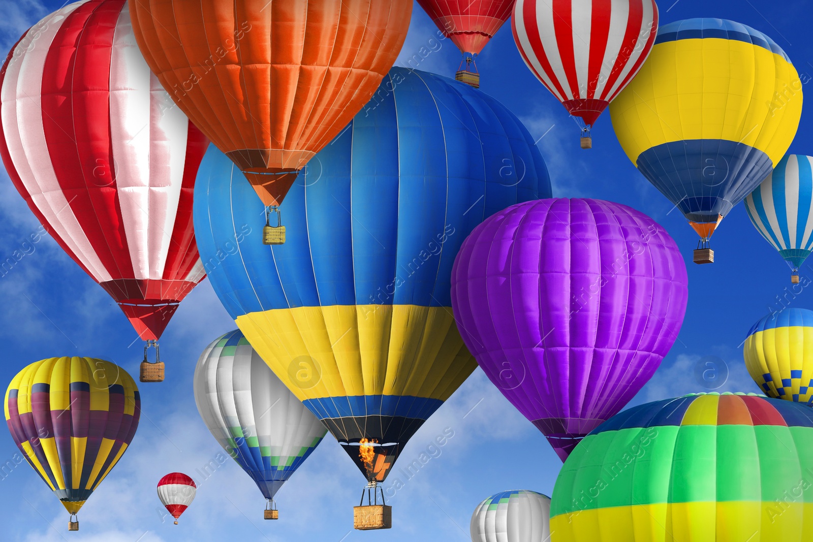 Image of Many bright hot air balloons flying in sky