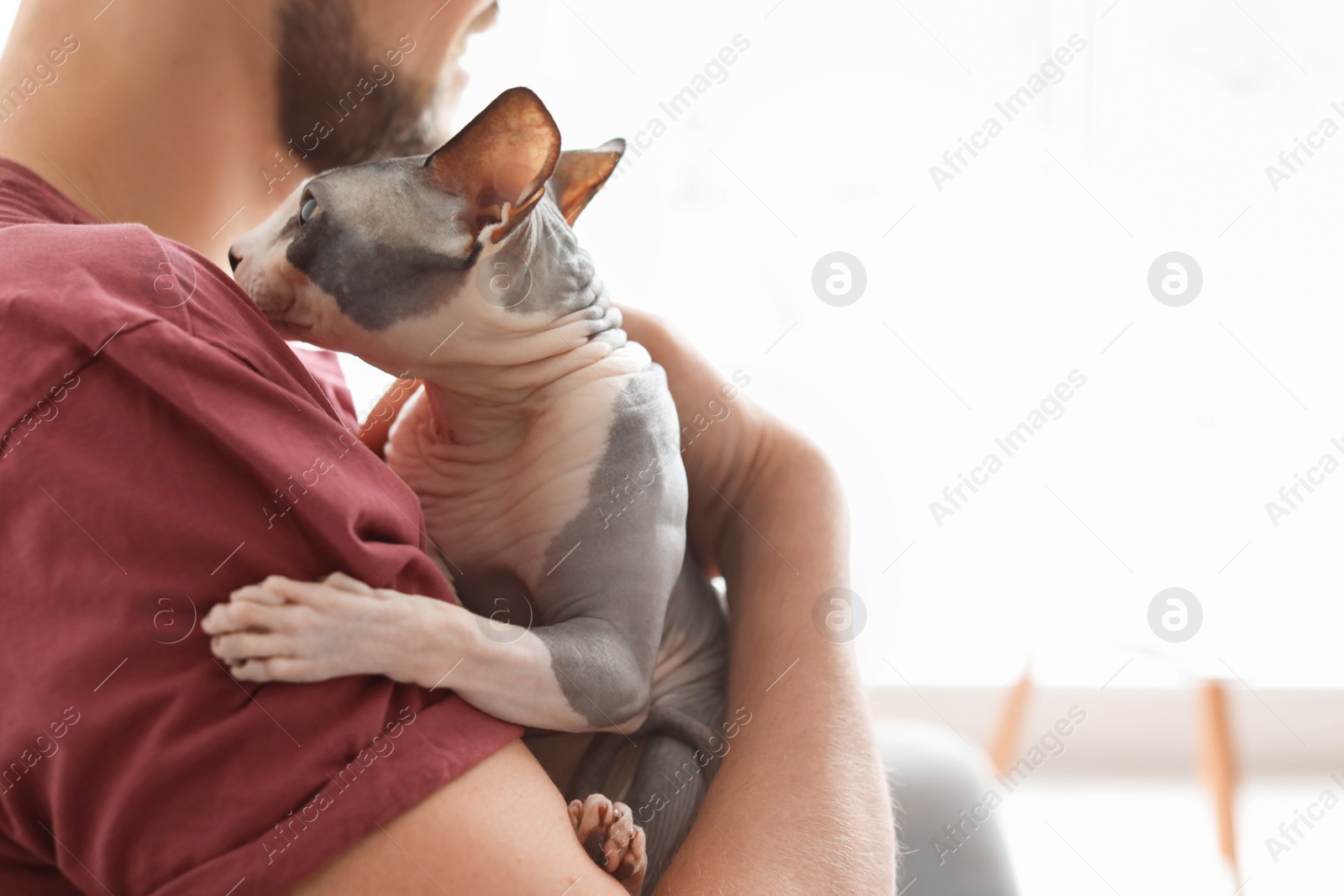 Photo of Young man with cute cat at home