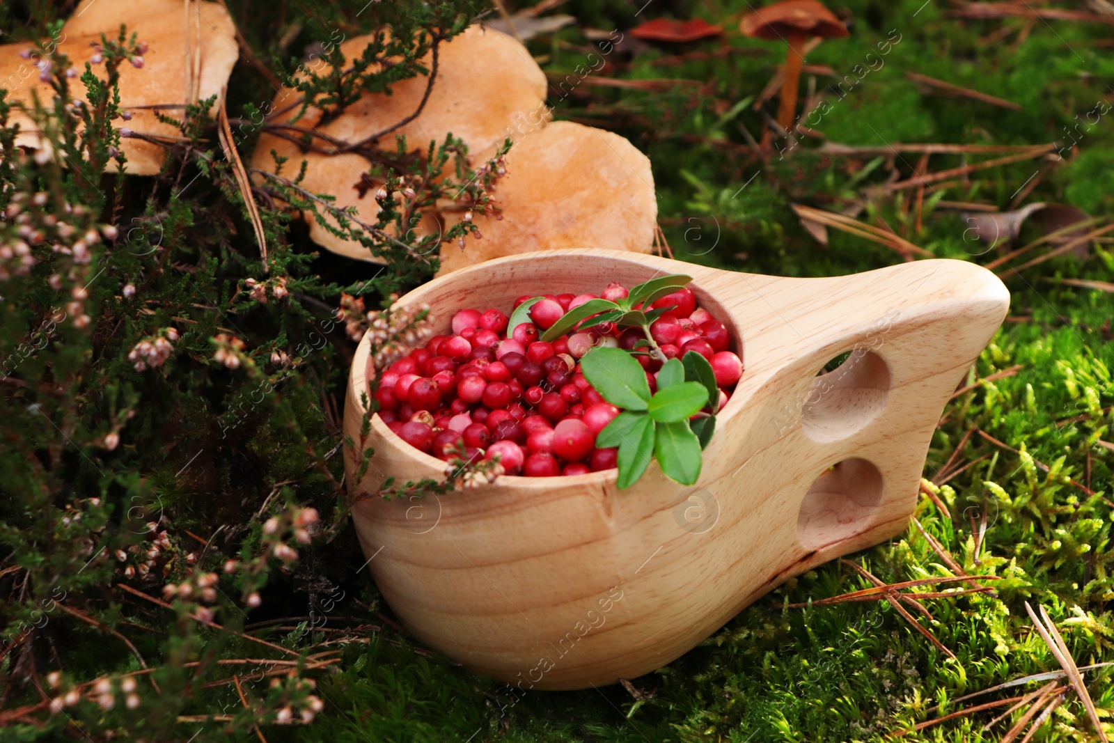 Photo of Many ripe lingonberries in wooden cup near mushrooms outdoors