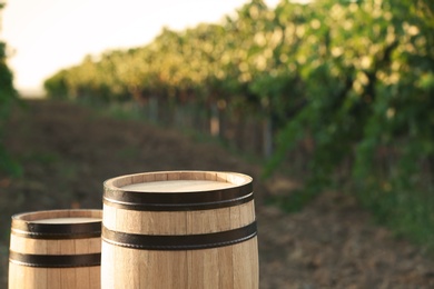 Photo of Wooden barrels standing in vineyard on sunny day. Wine production