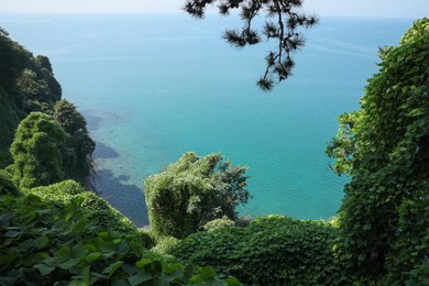 Photo of Picturesque view of green hills and sea with boat