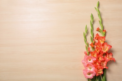 Photo of Flat lay composition with beautiful gladiolus flowers on wooden background. Space for text