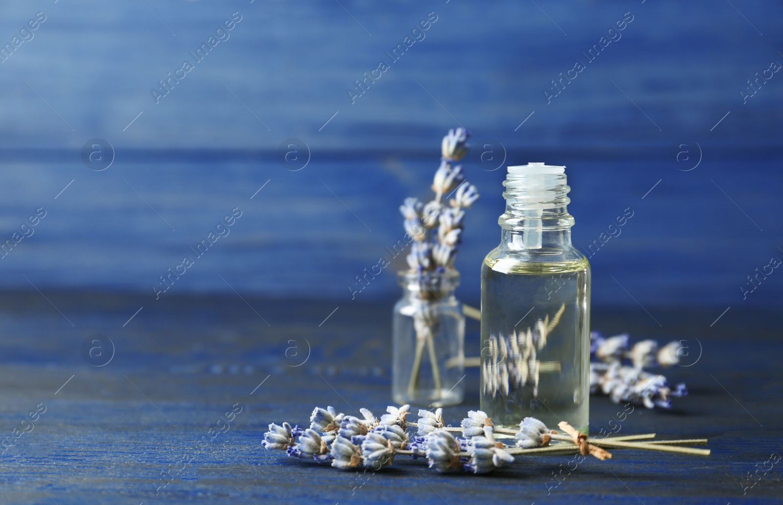 Photo of Bottle of natural essential oil and lavender flowers on blue wooden background. Space for text