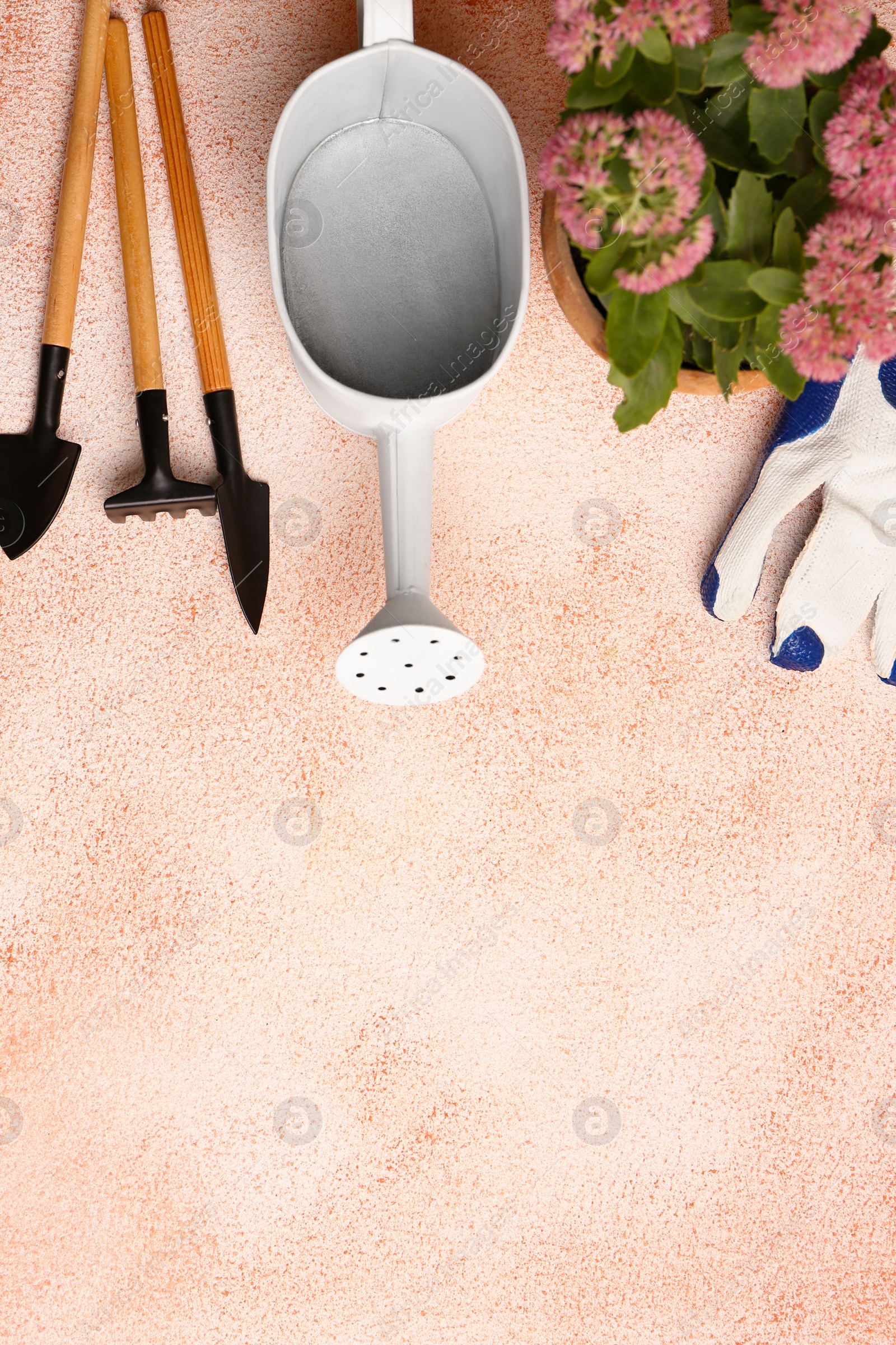 Photo of Flat lay composition with watering can and gardening tools on color textured background. Space for text