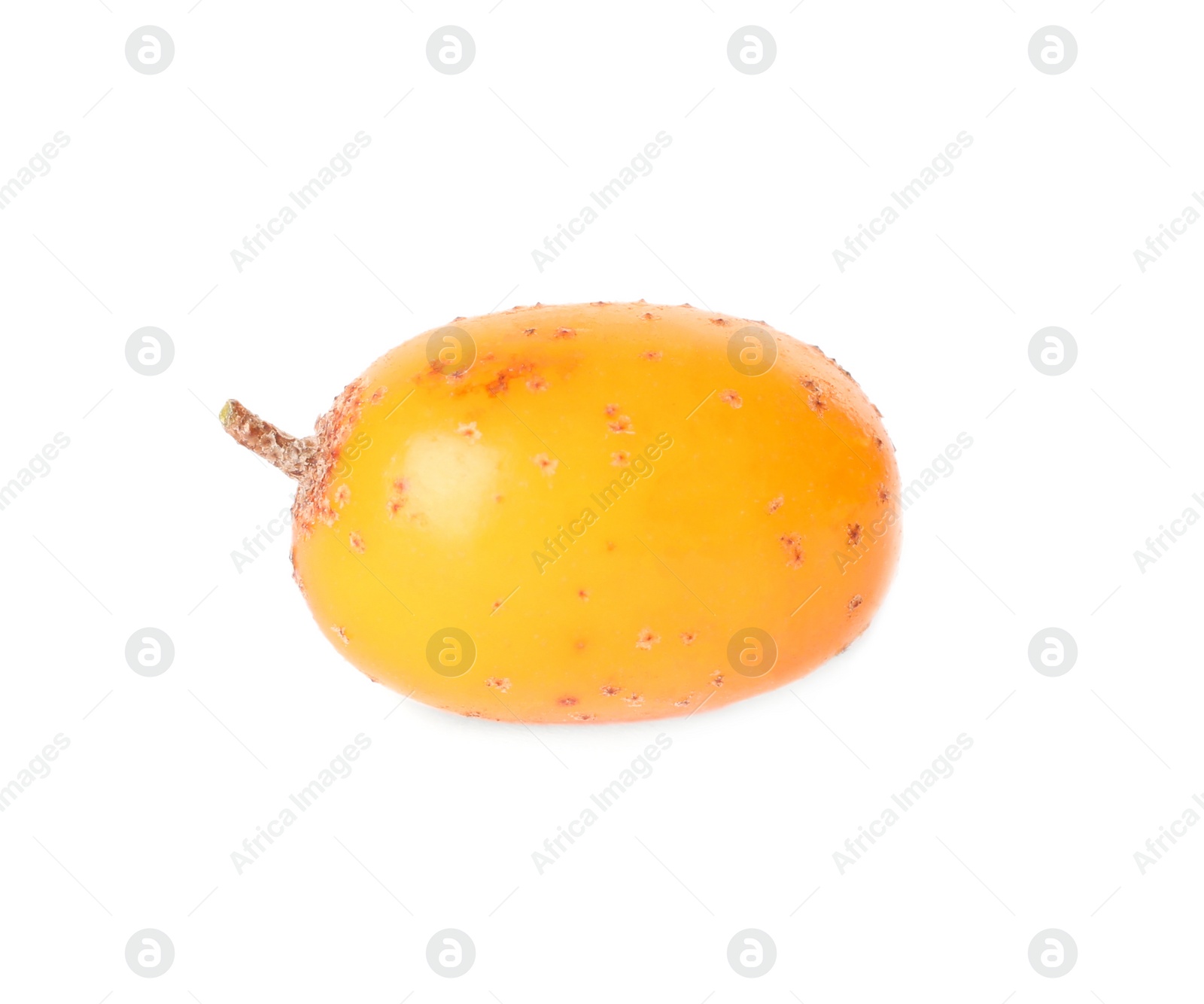 Photo of Fresh ripe sea buckthorn berry isolated on white