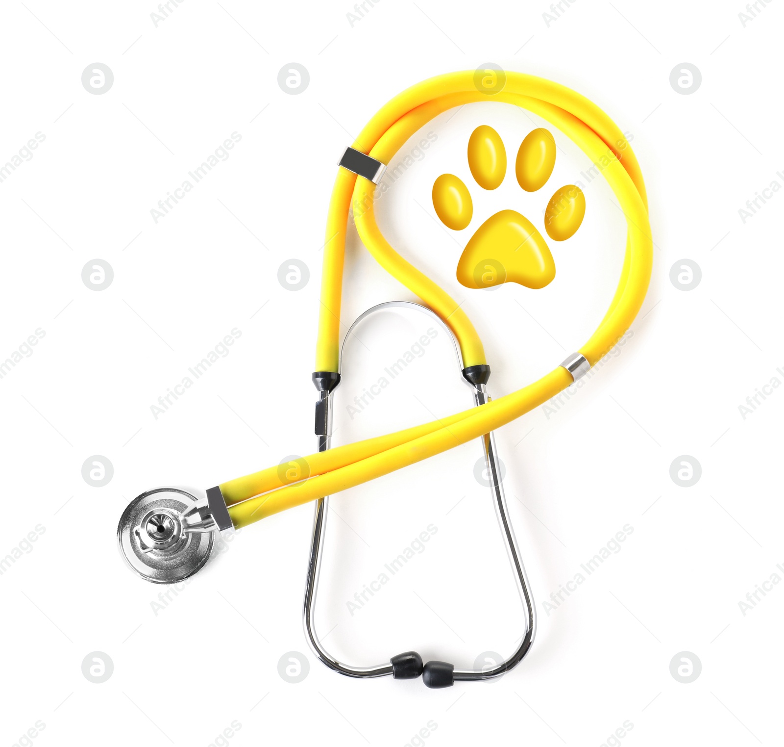 Image of Stethoscope and animal paw on white background