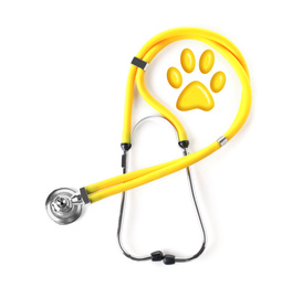 Image of Stethoscope and animal paw on white background