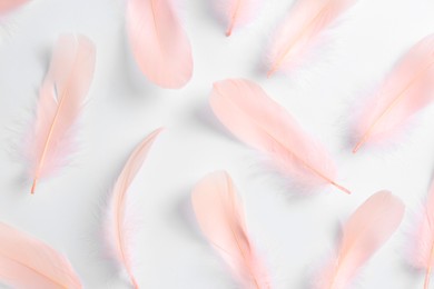 Photo of Beautiful light pink feathers on white background, flat lay