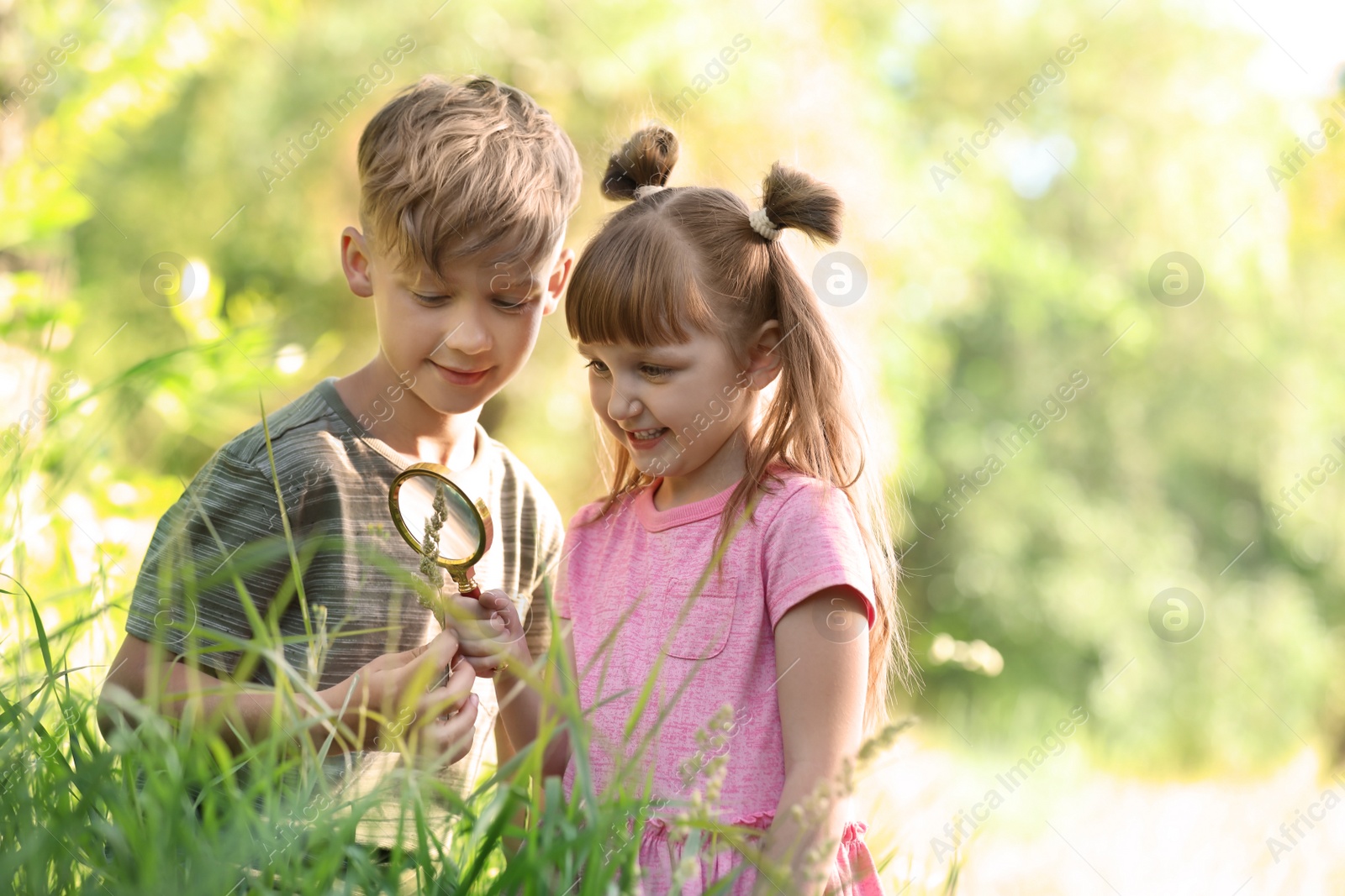 Photo of Little children exploring plant outdoors. Summer camp