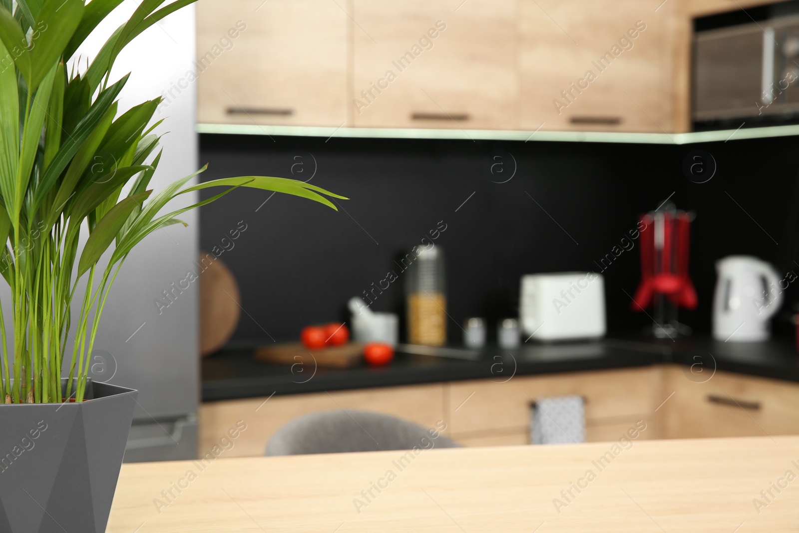 Photo of Green plant and blurred view of kitchen interior on background