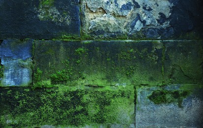 Photo of Old stone wall with green moss as background, closeup