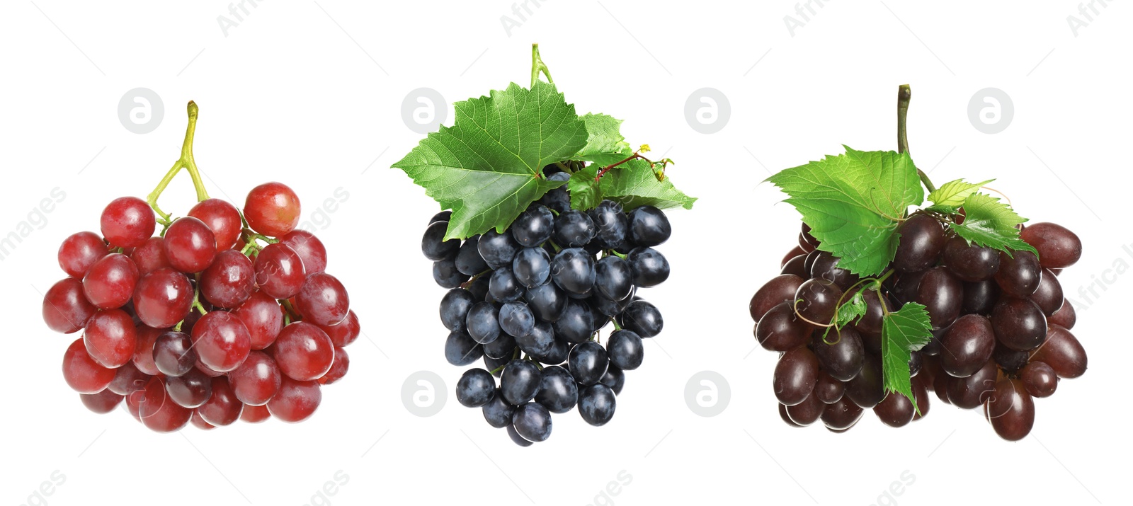 Image of Set of fresh grapes on white background. Banner design