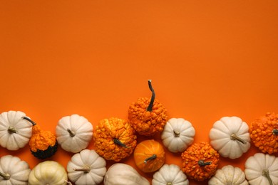 Different fresh ripe pumpkins on orange background, flat lay. Space for text